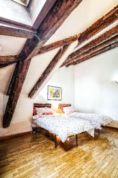 Loft Overlooking The Old Town . Feltre Exteriör bild